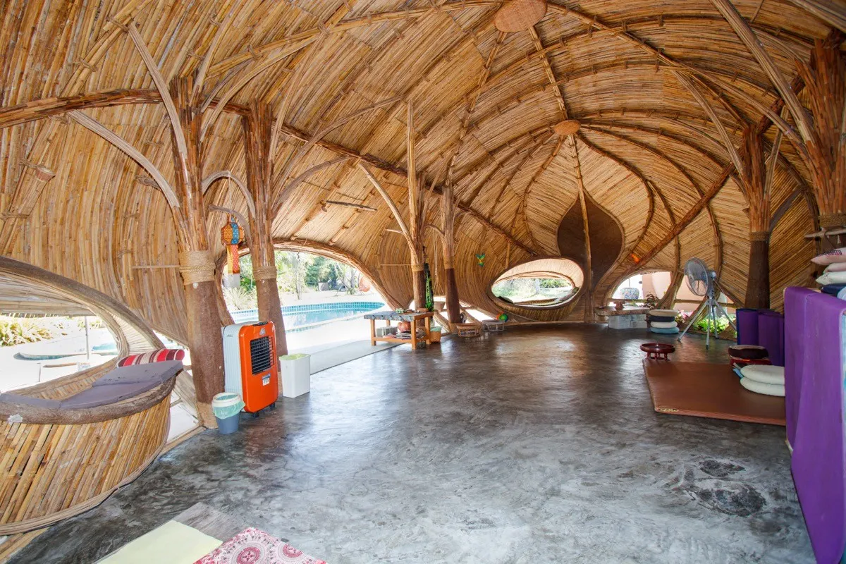 Interior of the open-air bamboo yoga sala with its sweeping organic roof structure